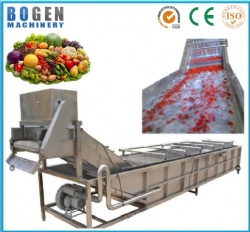 Fruits and vegetables washing machine